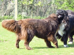 Wynhol Farm Visitors