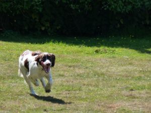 Wynhol Farm Visitors